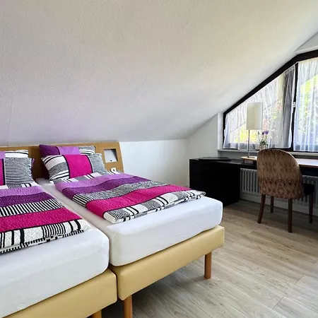 Haus Schanzenblick Fewo11 Im Herzen Des Schwarzwaldes * Schonach im Schwarzwald