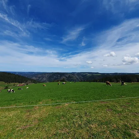 Daire Haus Schanzenblick Fewo11 Im Herzen Des Schwarzwaldes Schonach im Schwarzwald