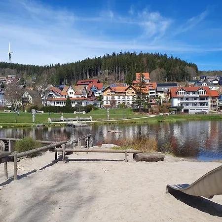 Haus Schanzenblick Fewo11 Im Herzen Des Schwarzwaldes * Schonach im Schwarzwald
